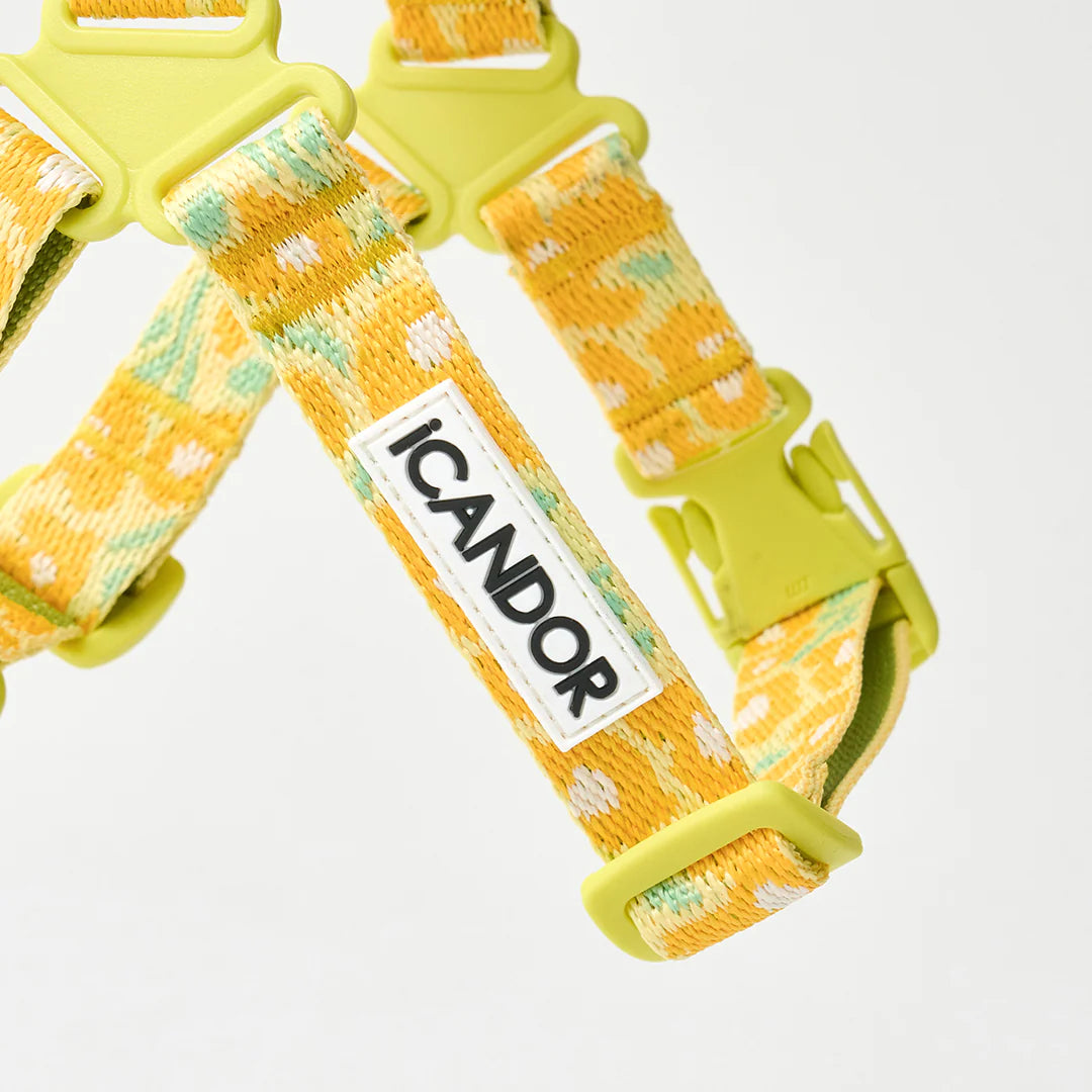 No-Pull Harness | Big Fish Yellow