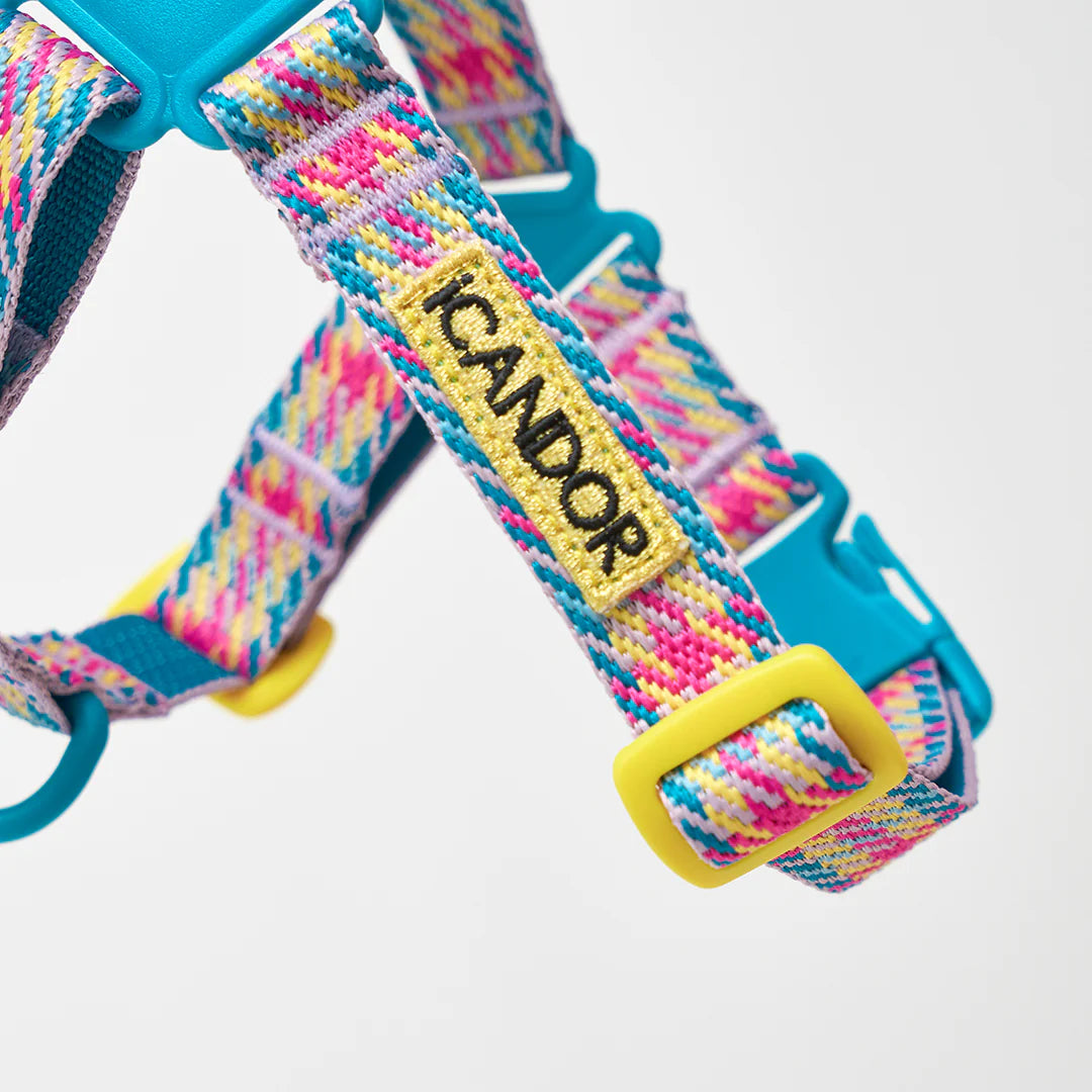 No-Pull Harness | Edinburgh Check