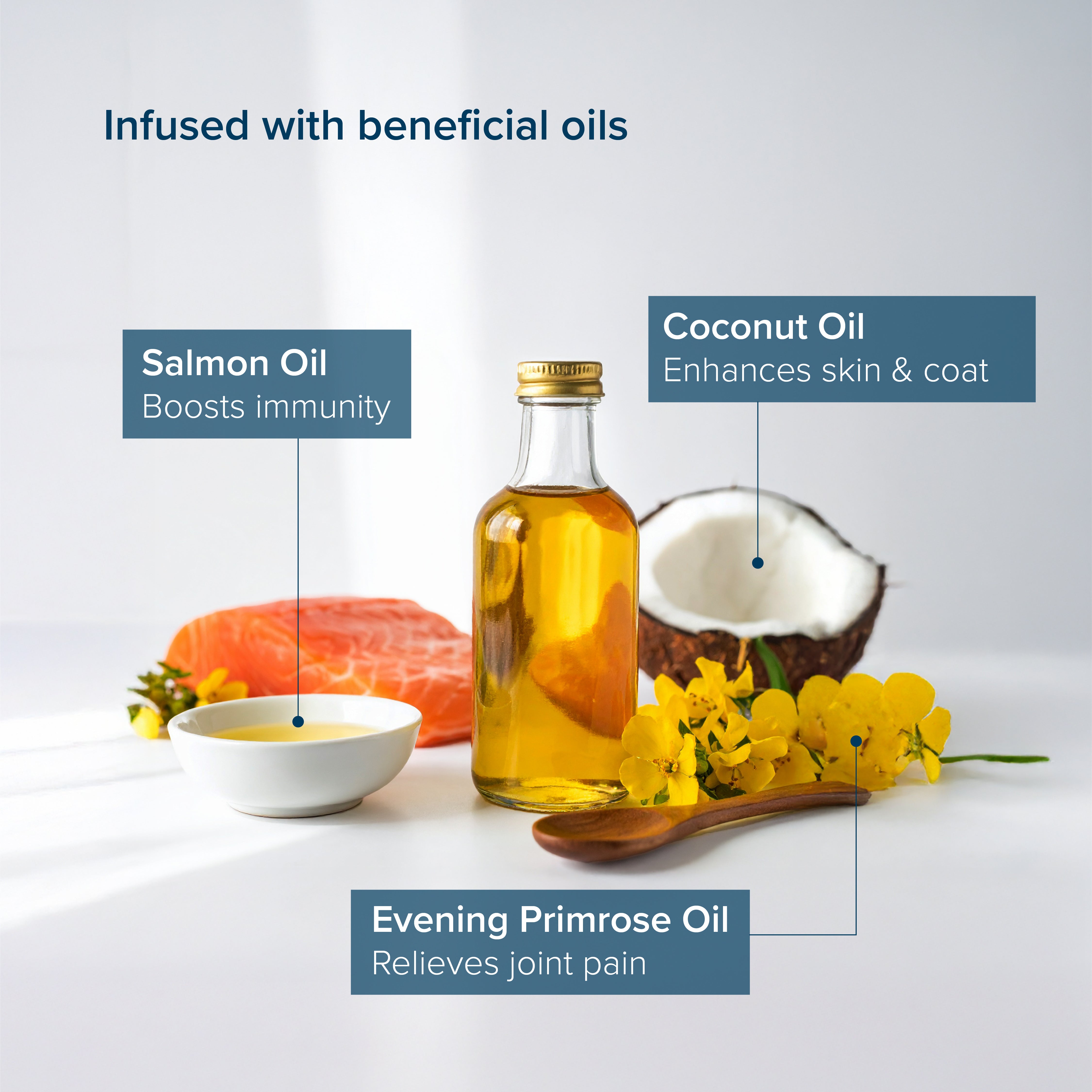 Nourish Life Salmon, Herring & Menhaden Recipe Grain-Free Dry Cat Food