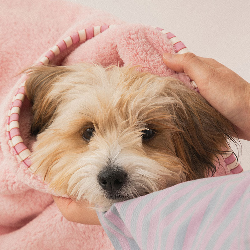 Bite Me x FINCA Dry Me Microfibre Pet Towel in Pink (2 Sizes)