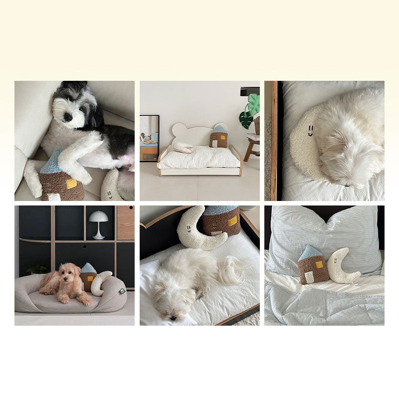 BonBon Green Eco-Friendly Home Buddy Cushion (3 Designs)