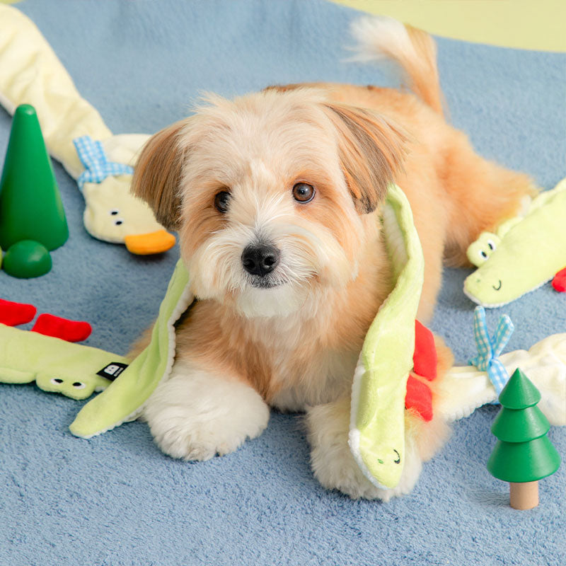 Duck & Crocodile Dog Tug Toy
