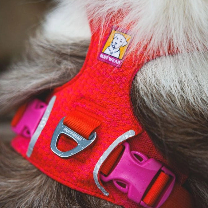 Front Range® Flex No-Pull Dog Knit Harness (4 Colours)
