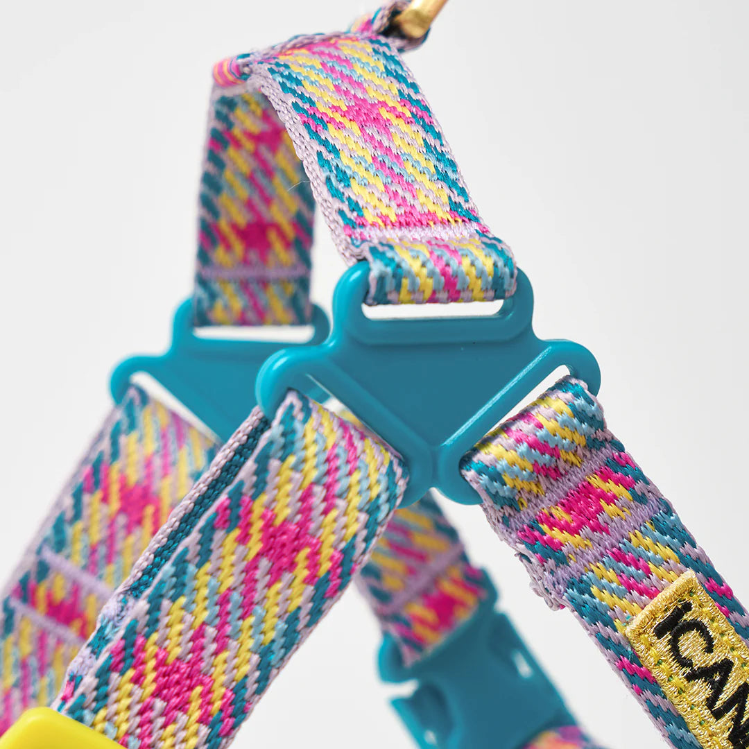 No-Pull Harness | Edinburgh Check