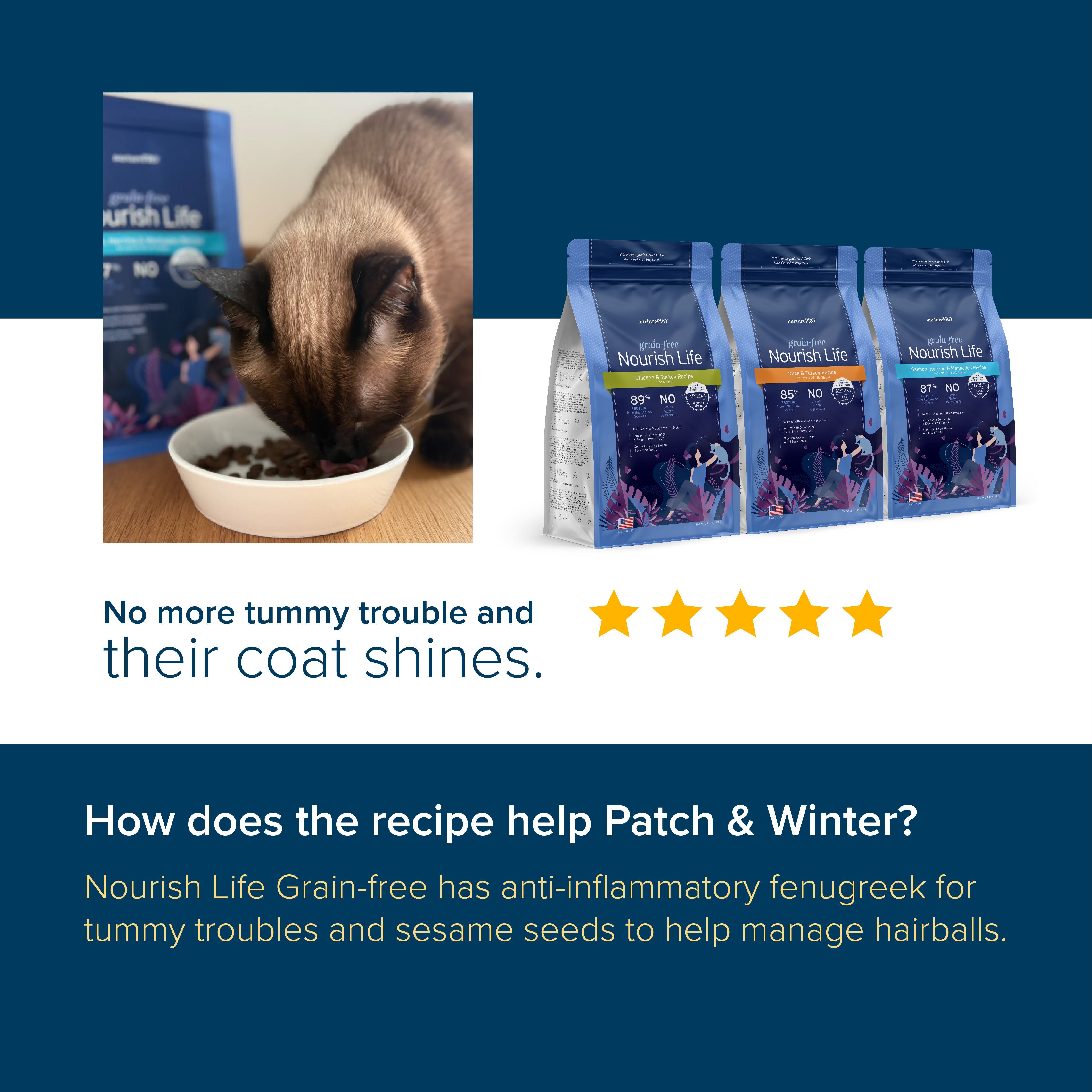 Nourish Life Salmon, Herring & Menhaden Recipe Grain-Free Dry Cat Food