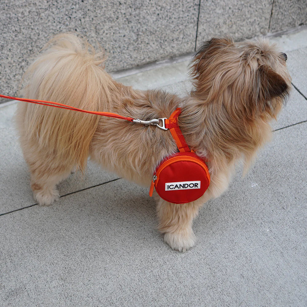 iCandor 3-in-1 Walking Kit: Sunset