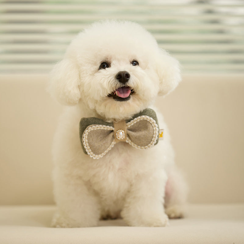 Winter Night Pet Collar Clip (Bow)