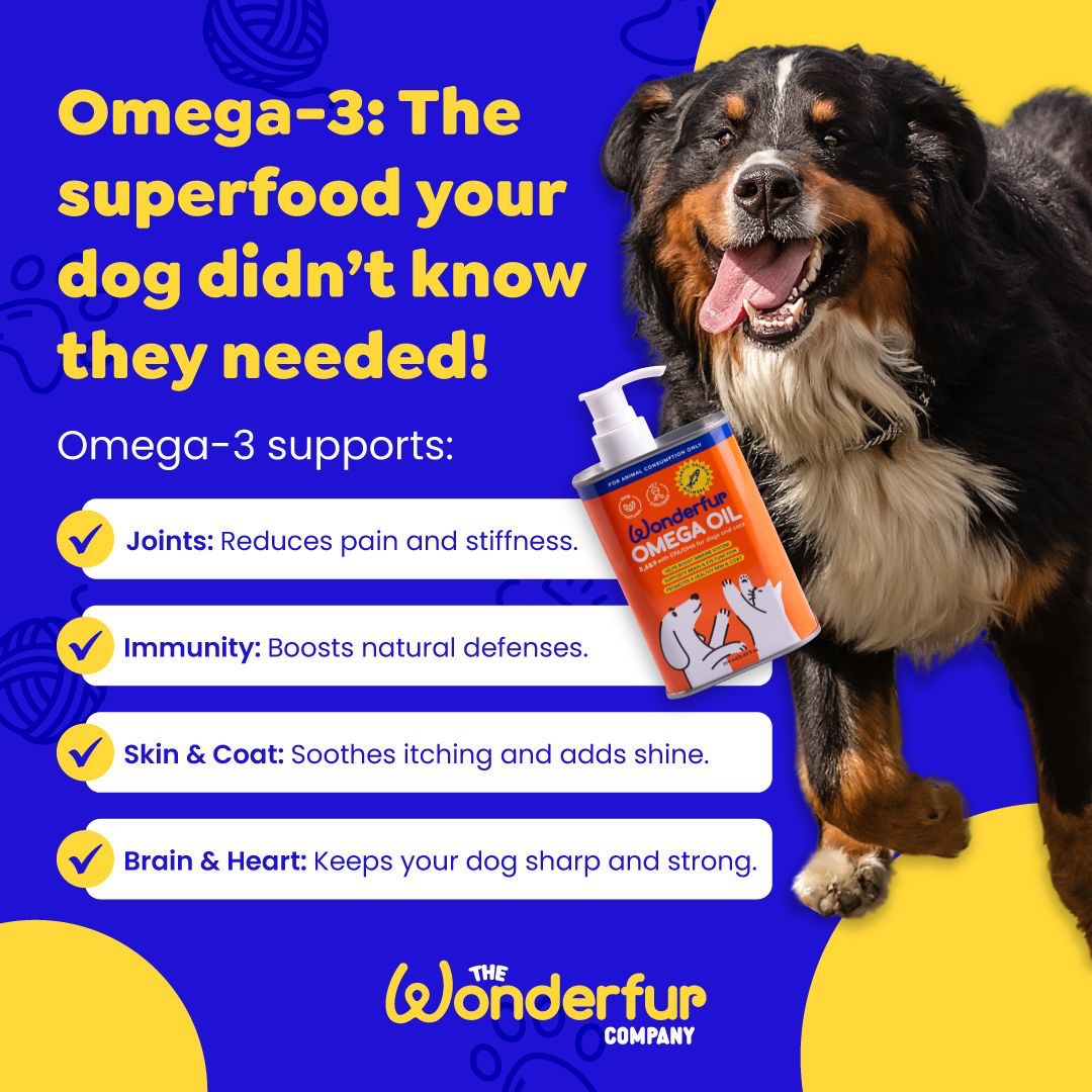 Super Omega Oil for Dogs & Cats (250ml)