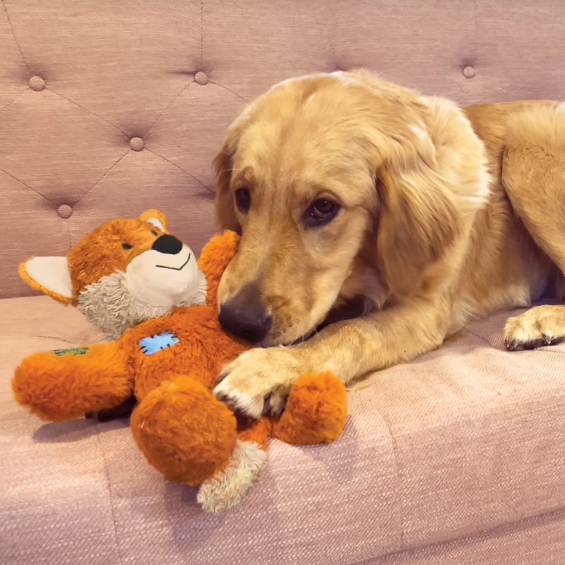 Wild Knots Fox Dog Toy