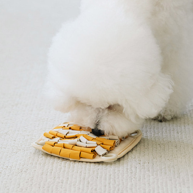 Chipmunk Spin & Snack Interactive Nosework Feeder Toy