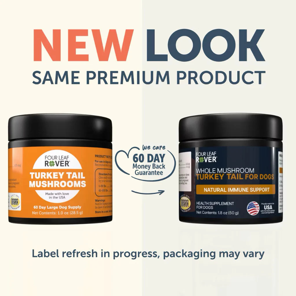 Turkey Tail Mushroom - Boost Immune System