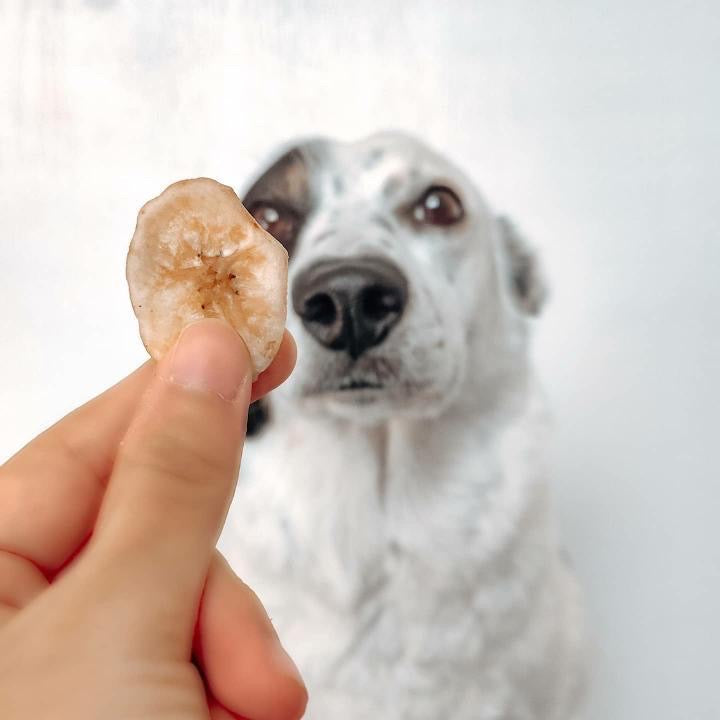 Single-Ingredient Banana Chips Dog Treats (150g)