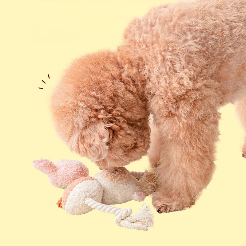 BonBon Green Furry Friends Rope Tug Toy (3 Designs)