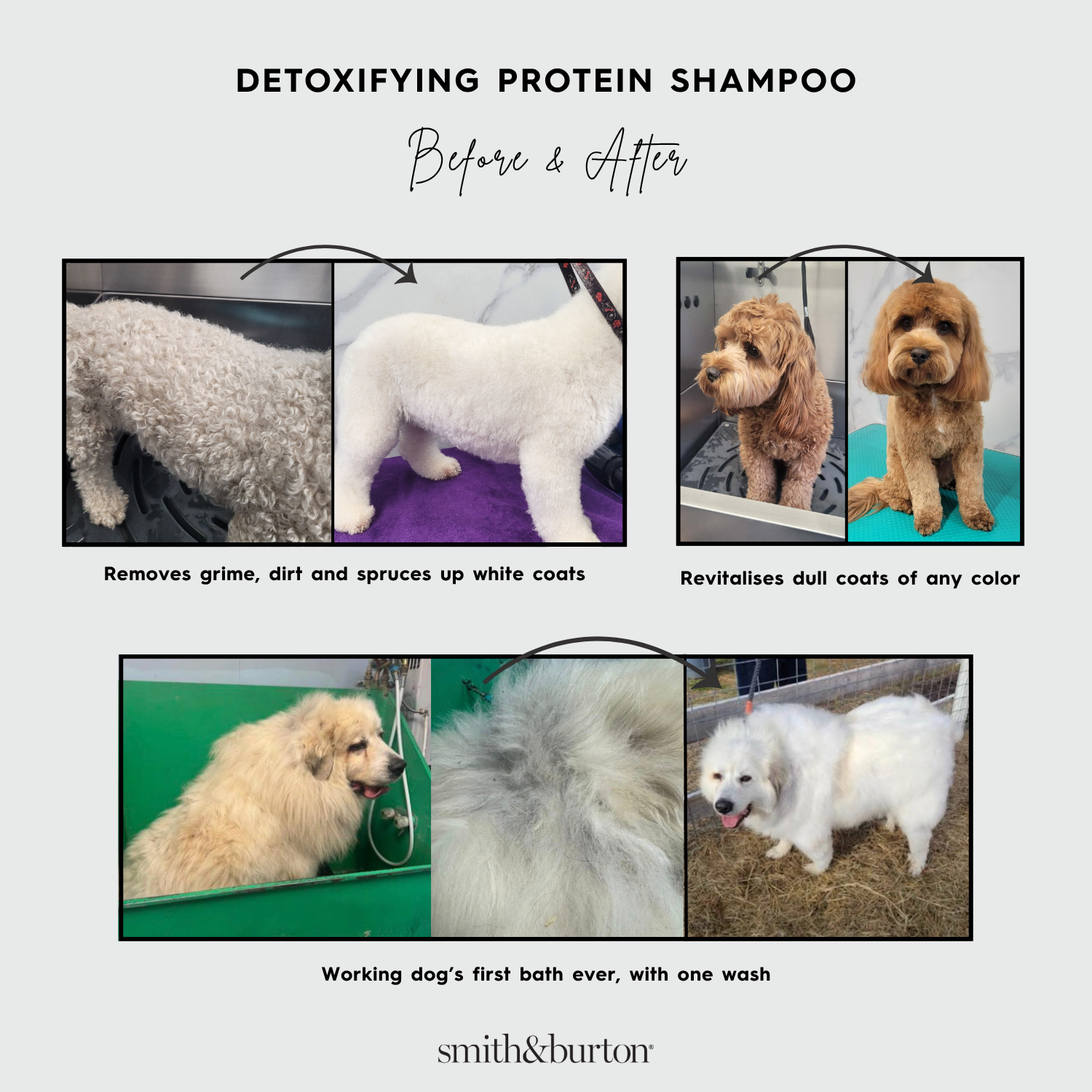 Detoxifying Protein Shampoo (500ml)