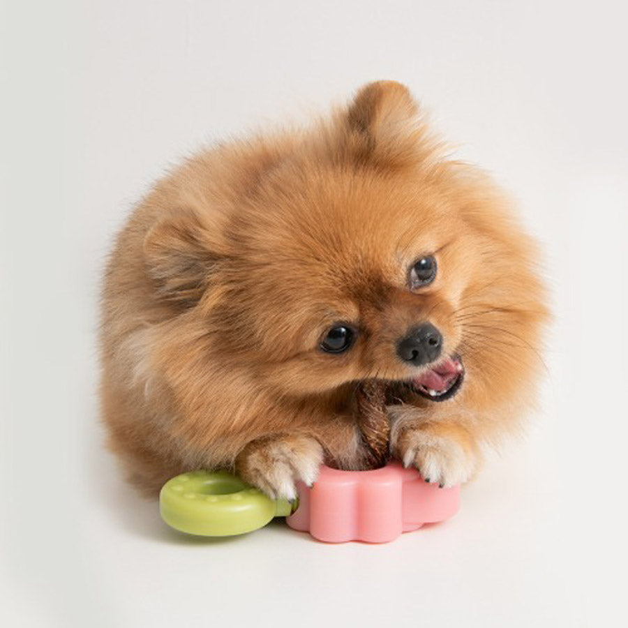 Easy Bite Grip Treat Toy