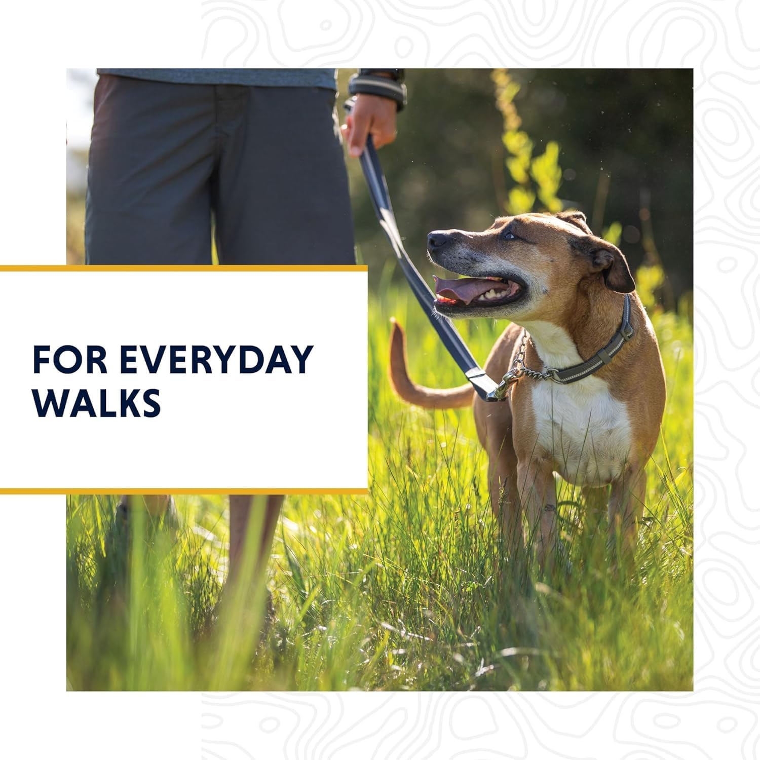 Chain Reaction™ Dog Collar (3 Colours)