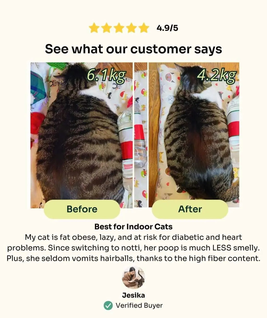 Notti Slow-Baked Fresh Chicken & Lamb Weight Care Cat Dry Food (For Indoor Cats)