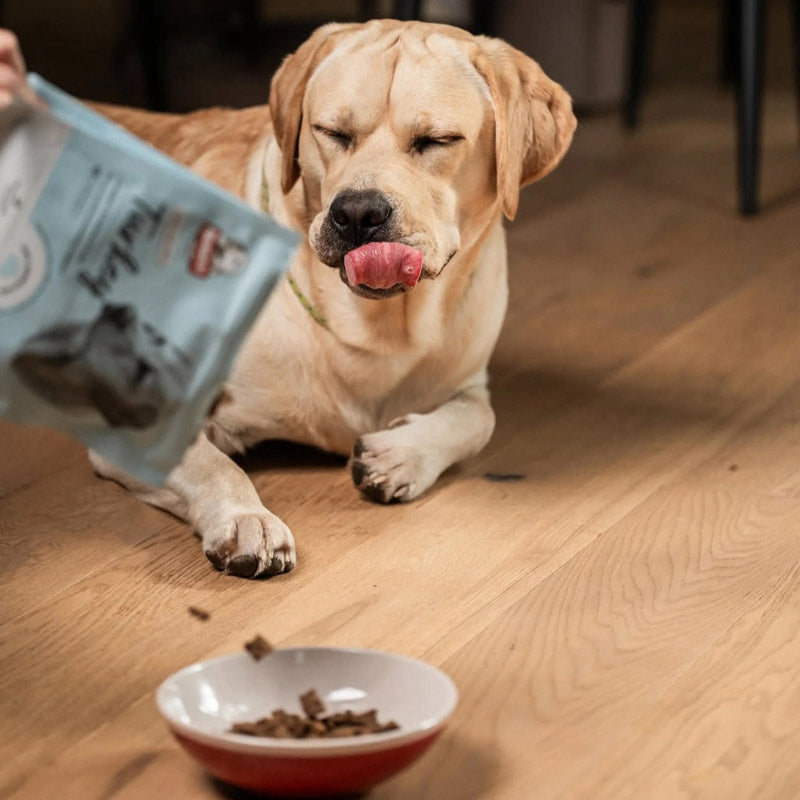 Bugsy's Turkey Air-Dried Dog Food