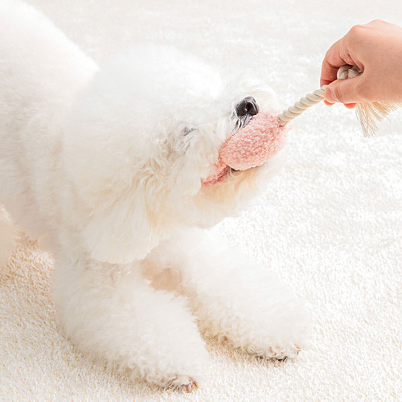 BonBon Green Furry Friends Rope Tug Toy (3 Designs)