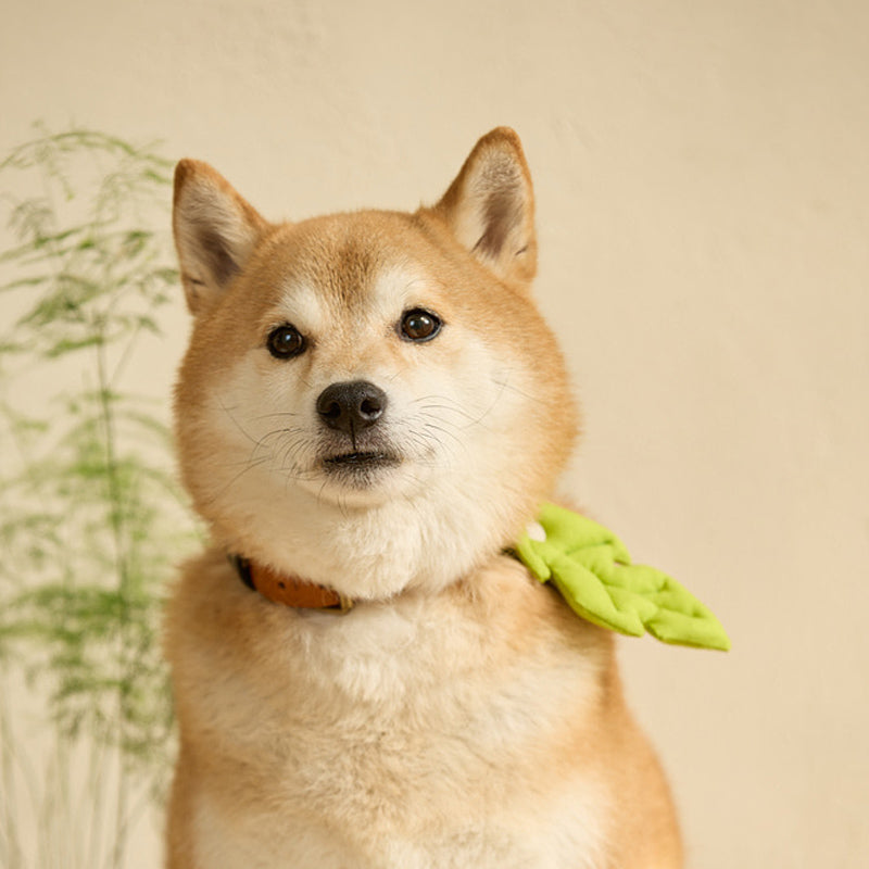 Basic Leaf Pet Collar Clip