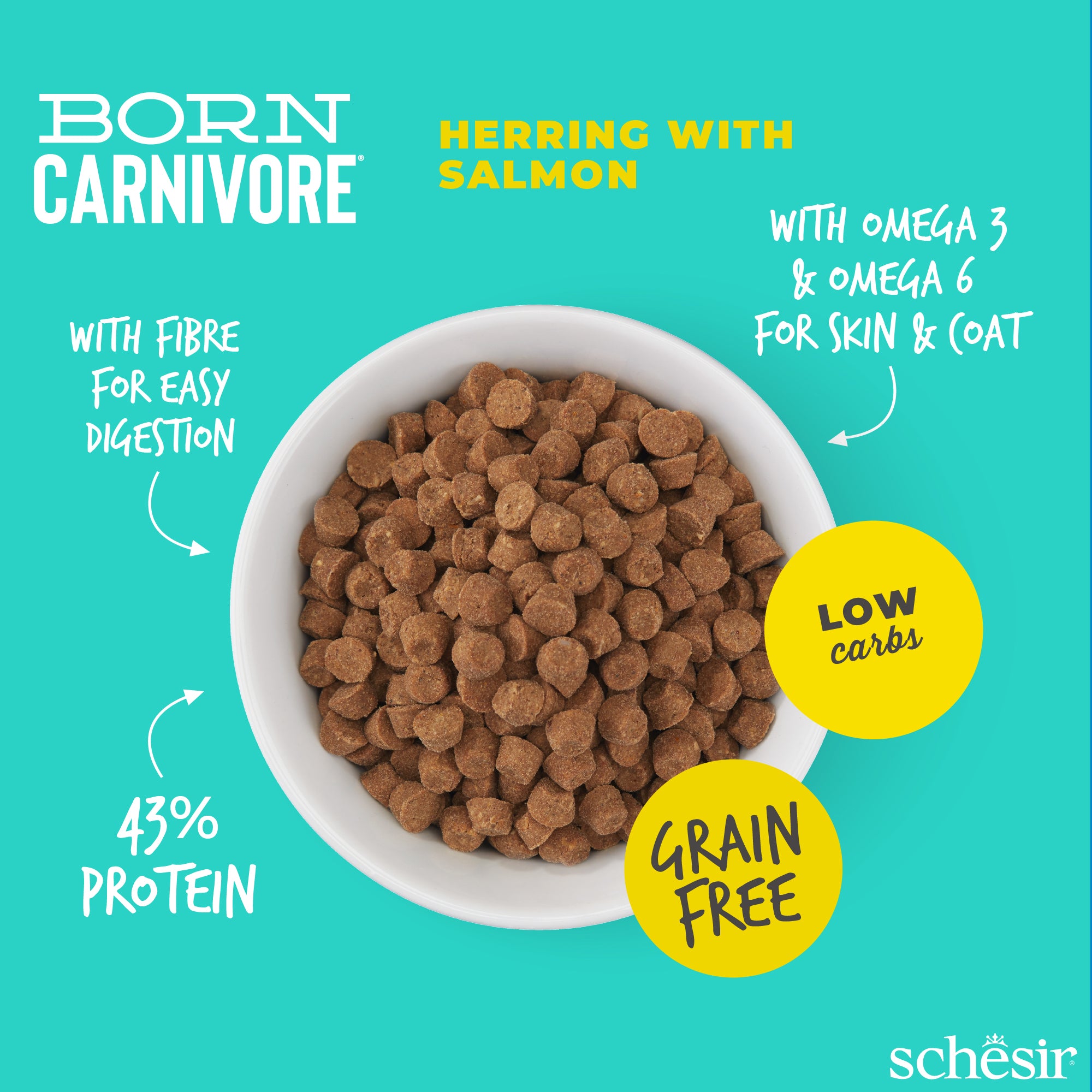 Schesir Born Carnivore Herring with Salmon Oven Baked Grain Free Dry Cat Food