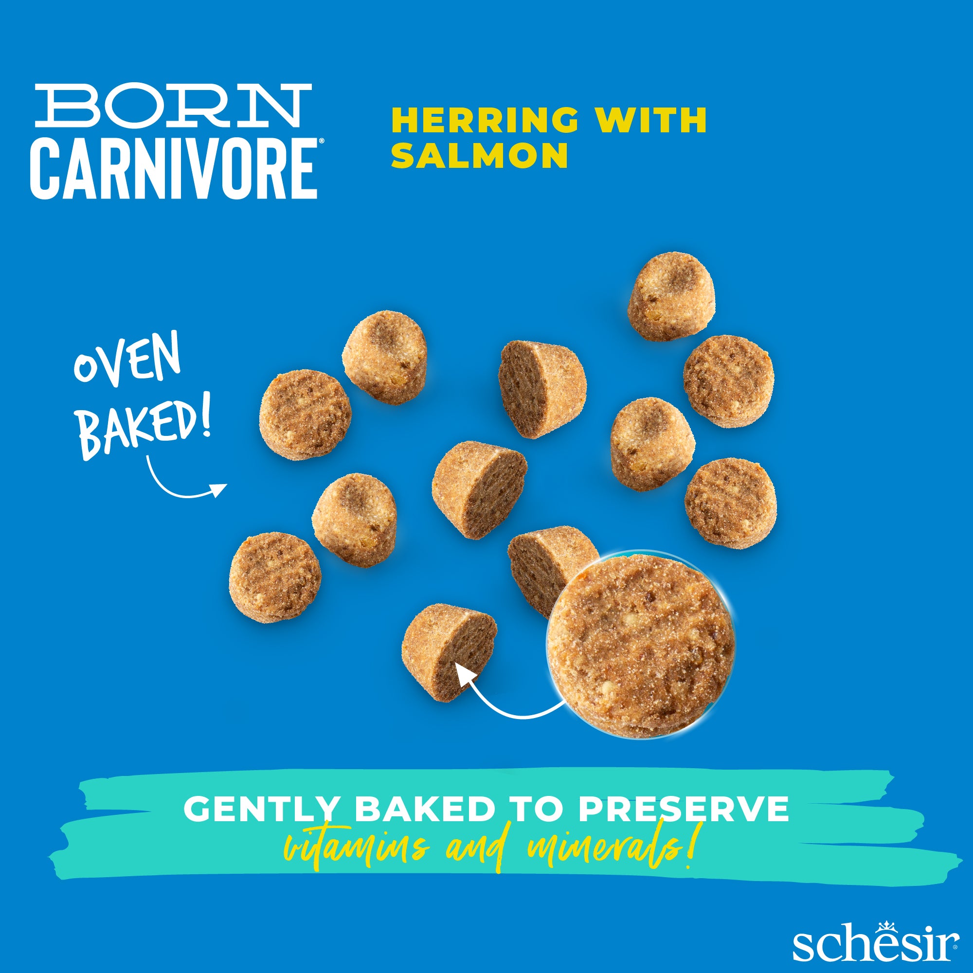 Schesir Born Carnivore Herring with Salmon Oven Baked Grain Free Dry Cat Food