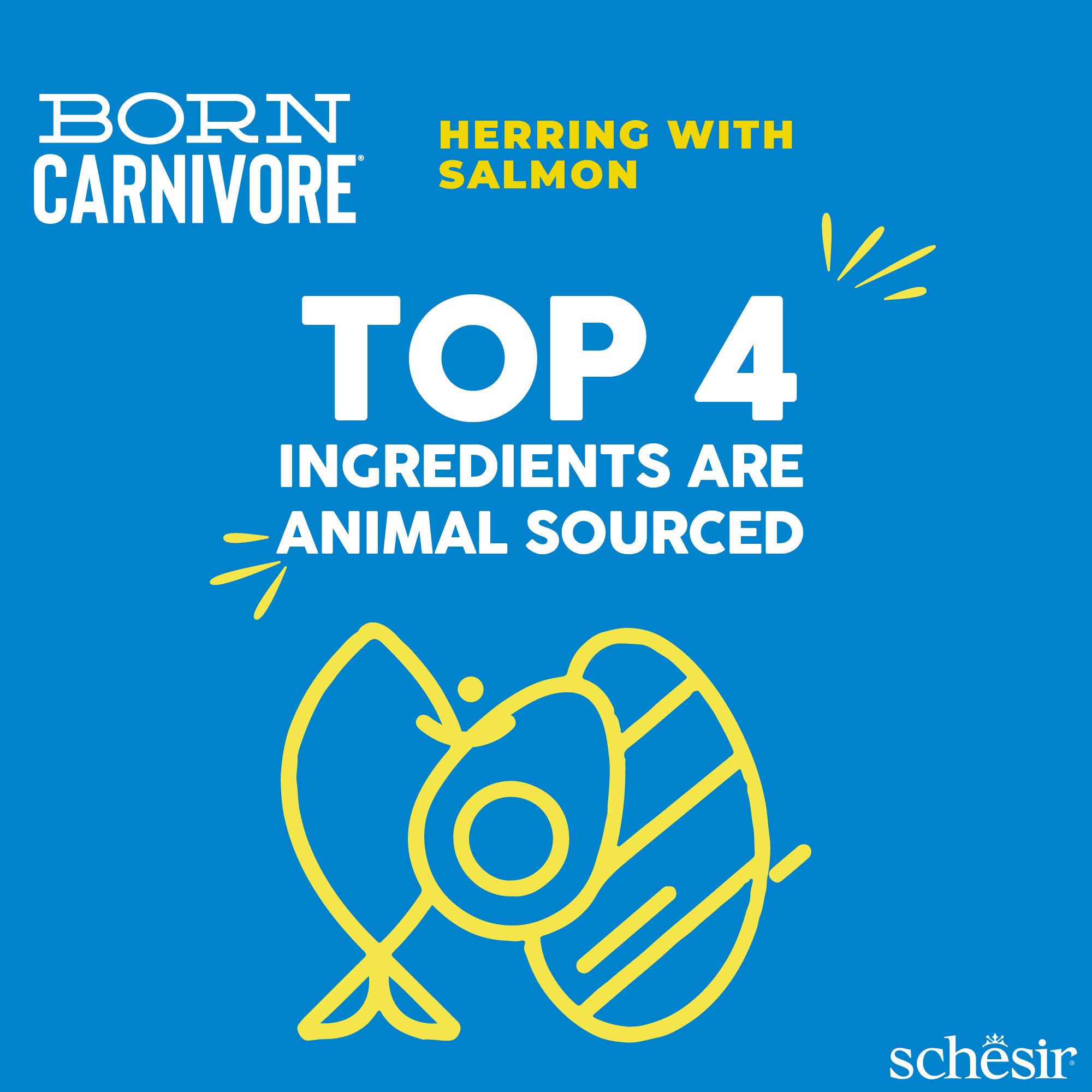 Schesir Born Carnivore Herring with Salmon Oven Baked Grain Free Dry Cat Food