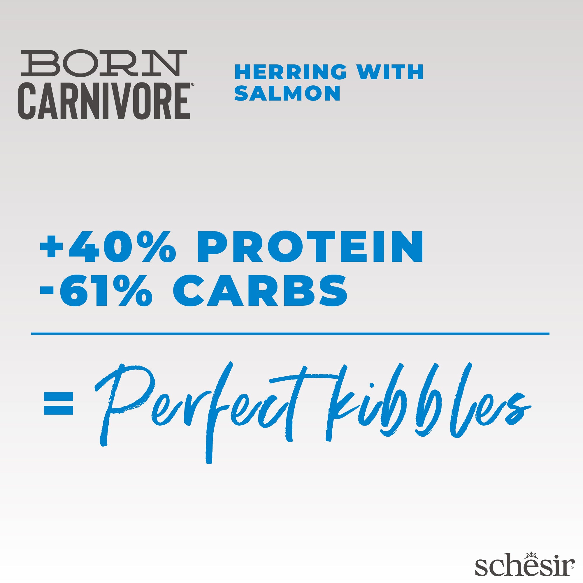 Schesir Born Carnivore Herring with Salmon Oven Baked Grain Free Dry Cat Food