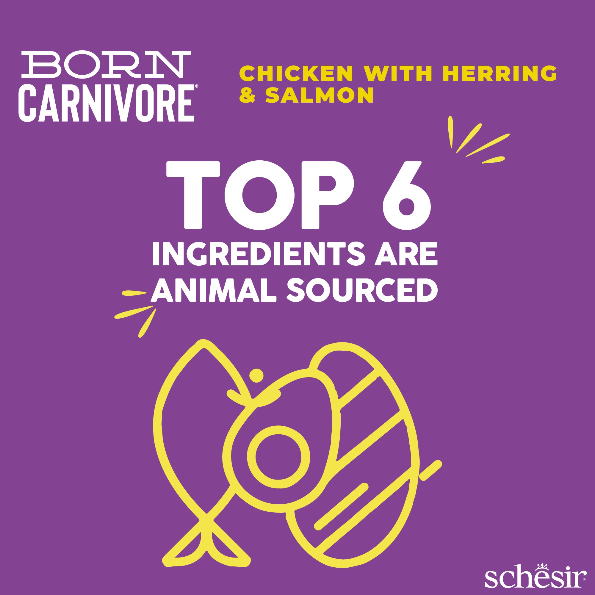 Schesir Born Carnivore Chicken with Herring & Salmon Oven Baked Grain Free Dry Cat Food