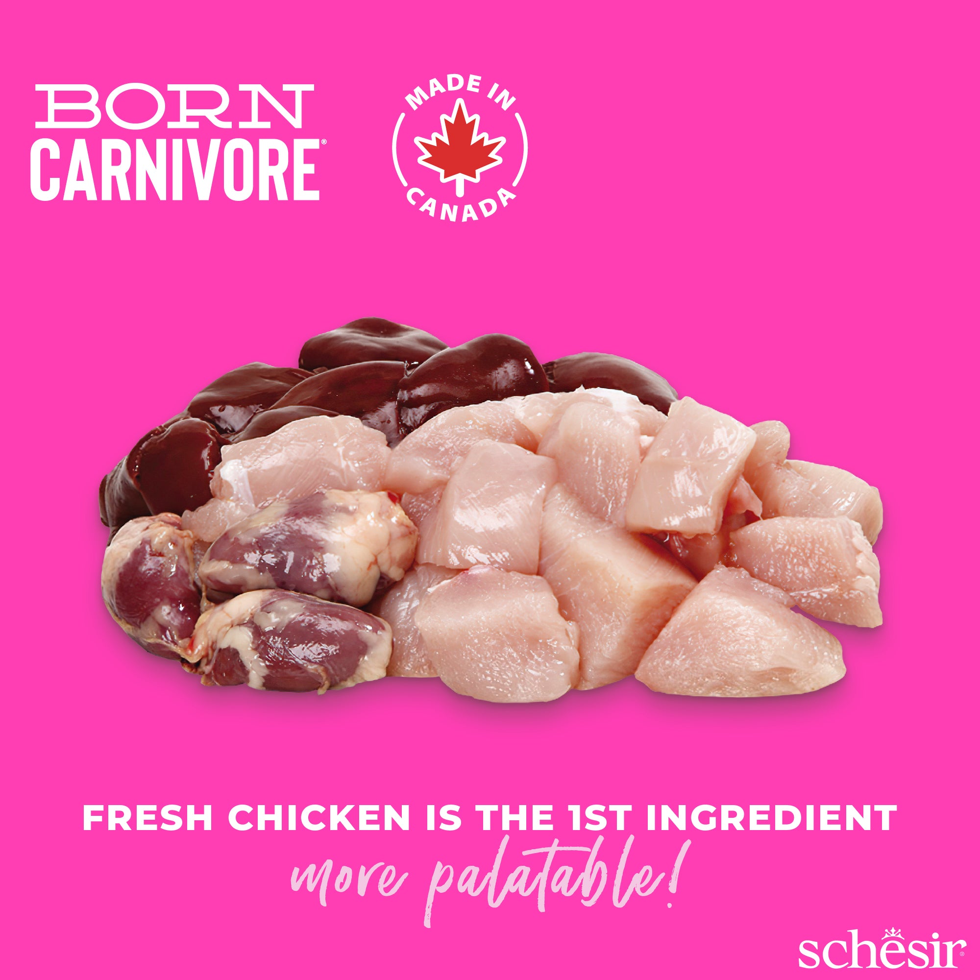 Schesir Born Carnivore Chicken with Egg Oven Baked Grain free Kitten Dry Cat Food