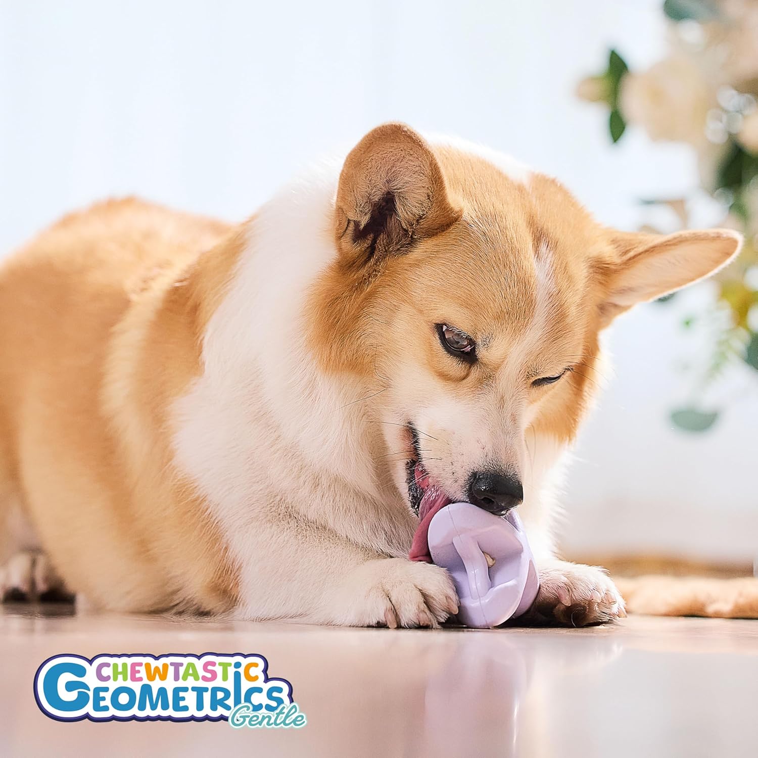 Chewtastic Geo-AstroRolly Purple Natural Rubber Enrichment Dog Toy (Gentle)