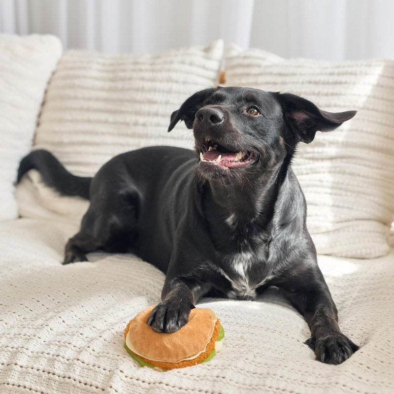 KFC Feast Nosework Plush and Latex Dog Toy