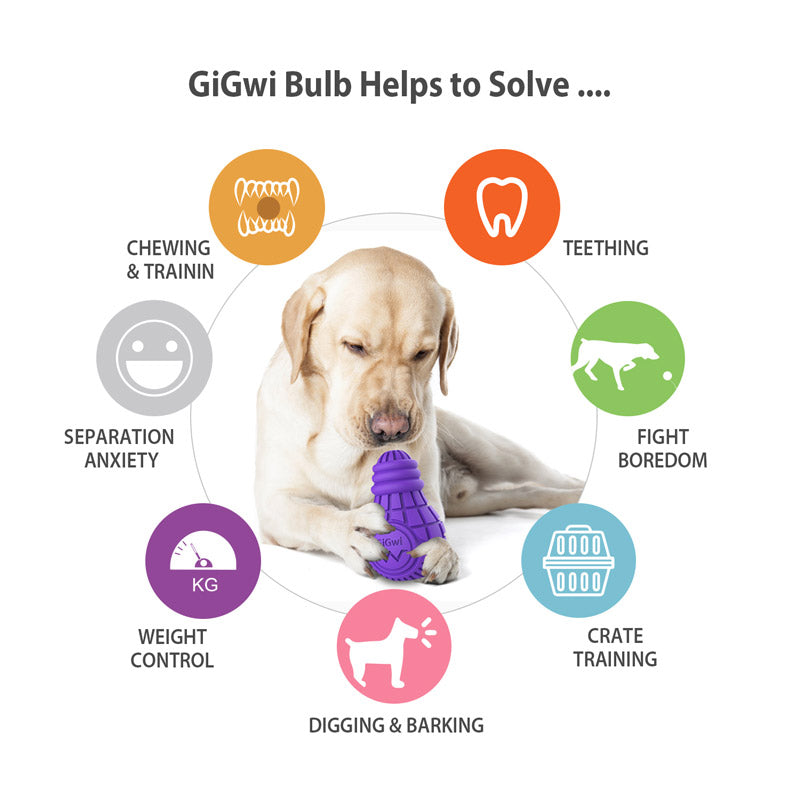 Bulb Treat Dispenser Rubber Dog Toy (Large) - Purple