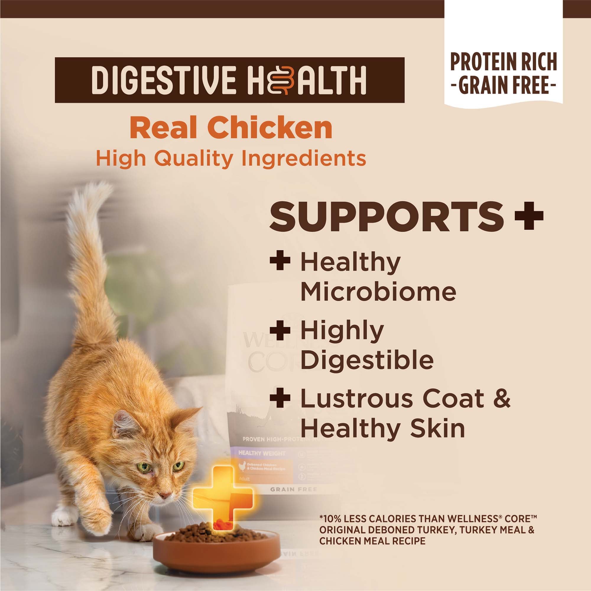 CORE® Digestive Health with Wholesome Grains Dry Cat Food | Chicken