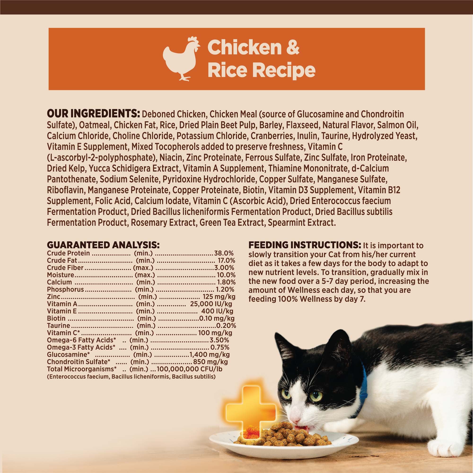 CORE® Digestive Health with Wholesome Grains Dry Cat Food | Chicken