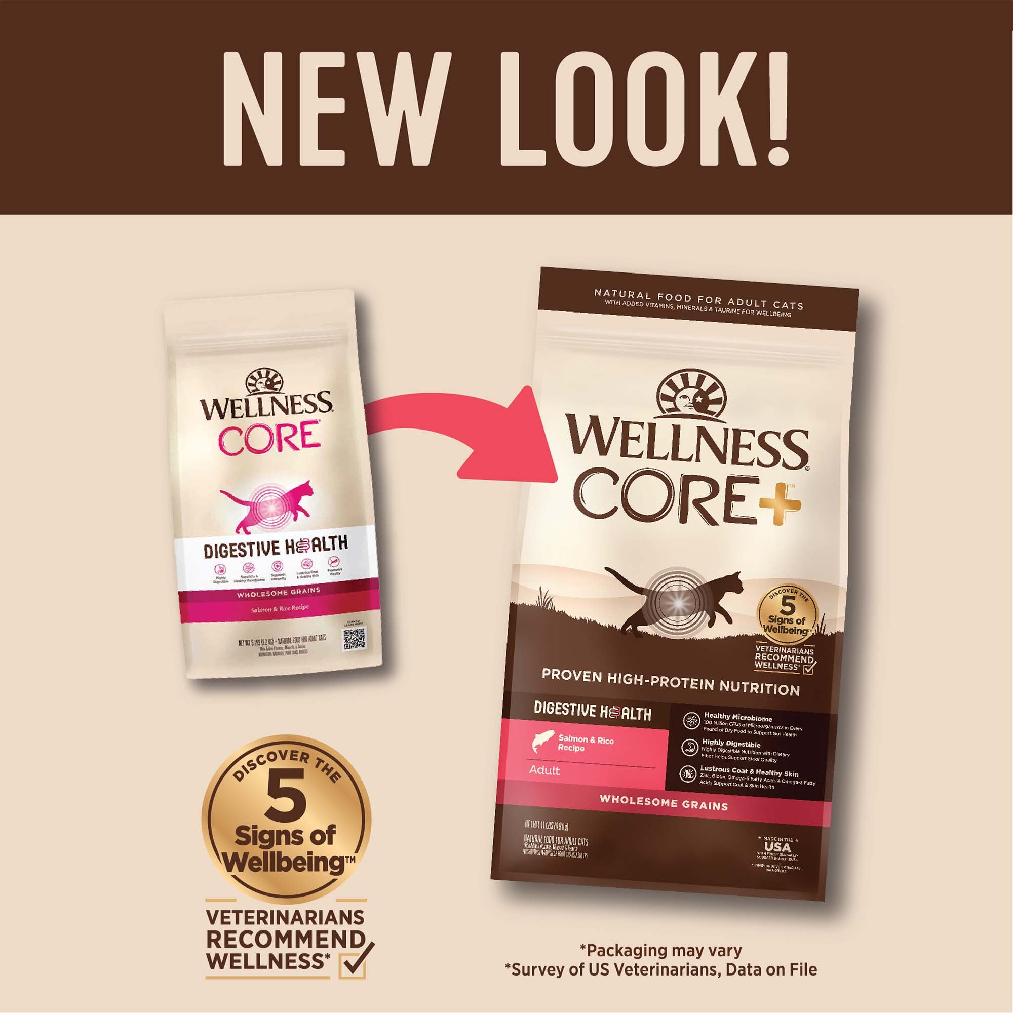 CORE® Digestive Health with Wholesome Grains Dry Cat Food | Salmon