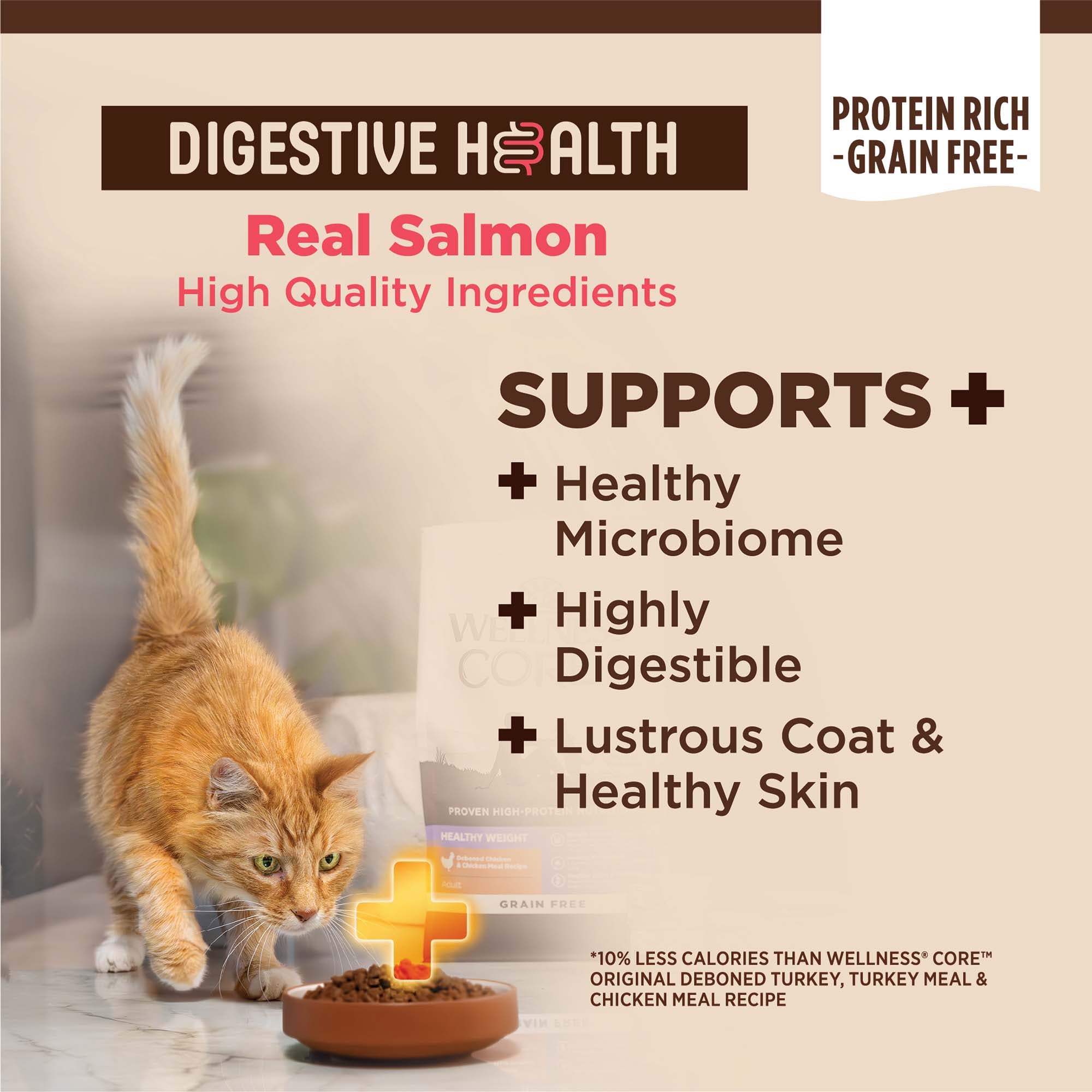 CORE® Digestive Health with Wholesome Grains Dry Cat Food | Salmon