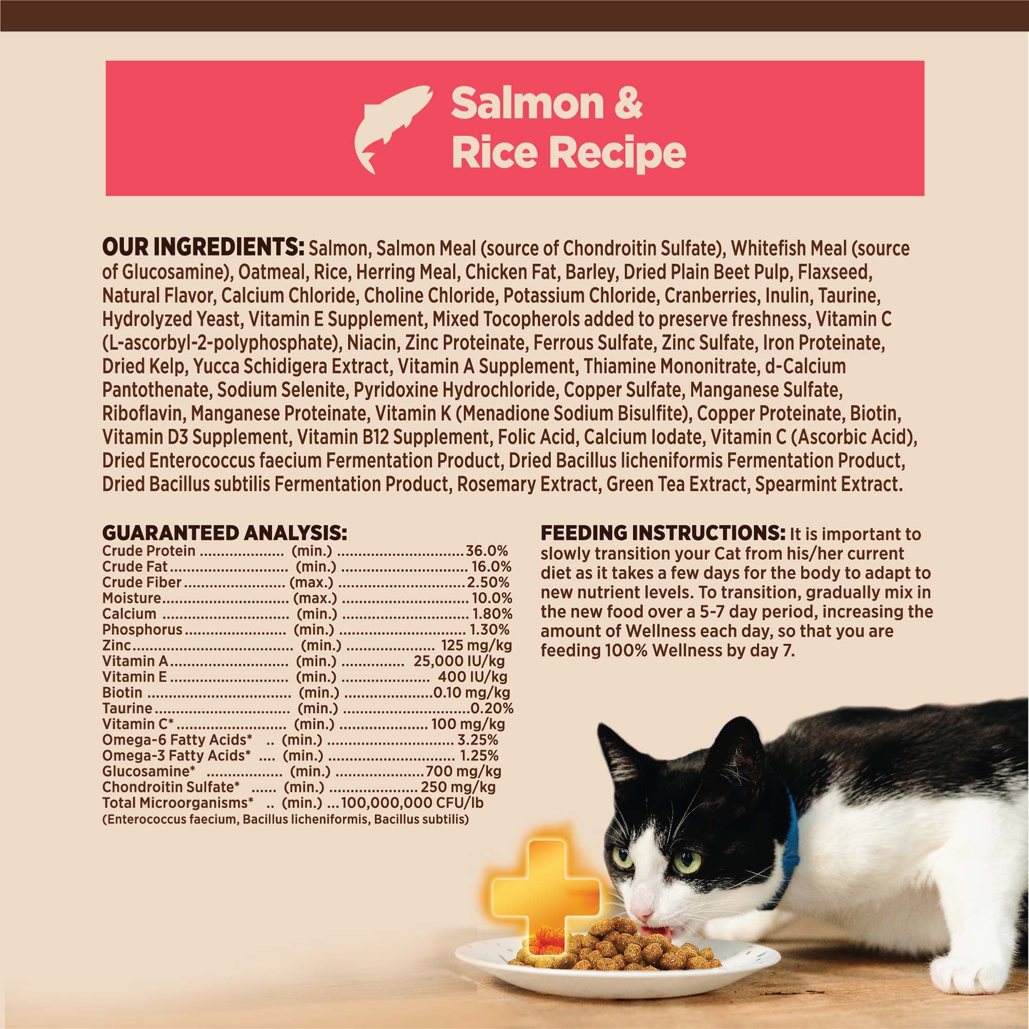 CORE® Digestive Health with Wholesome Grains Dry Cat Food | Salmon