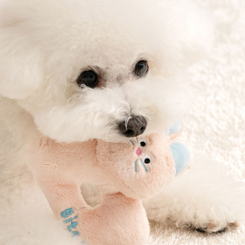 Runrun Rattle Toy (Bunny / Puppy)