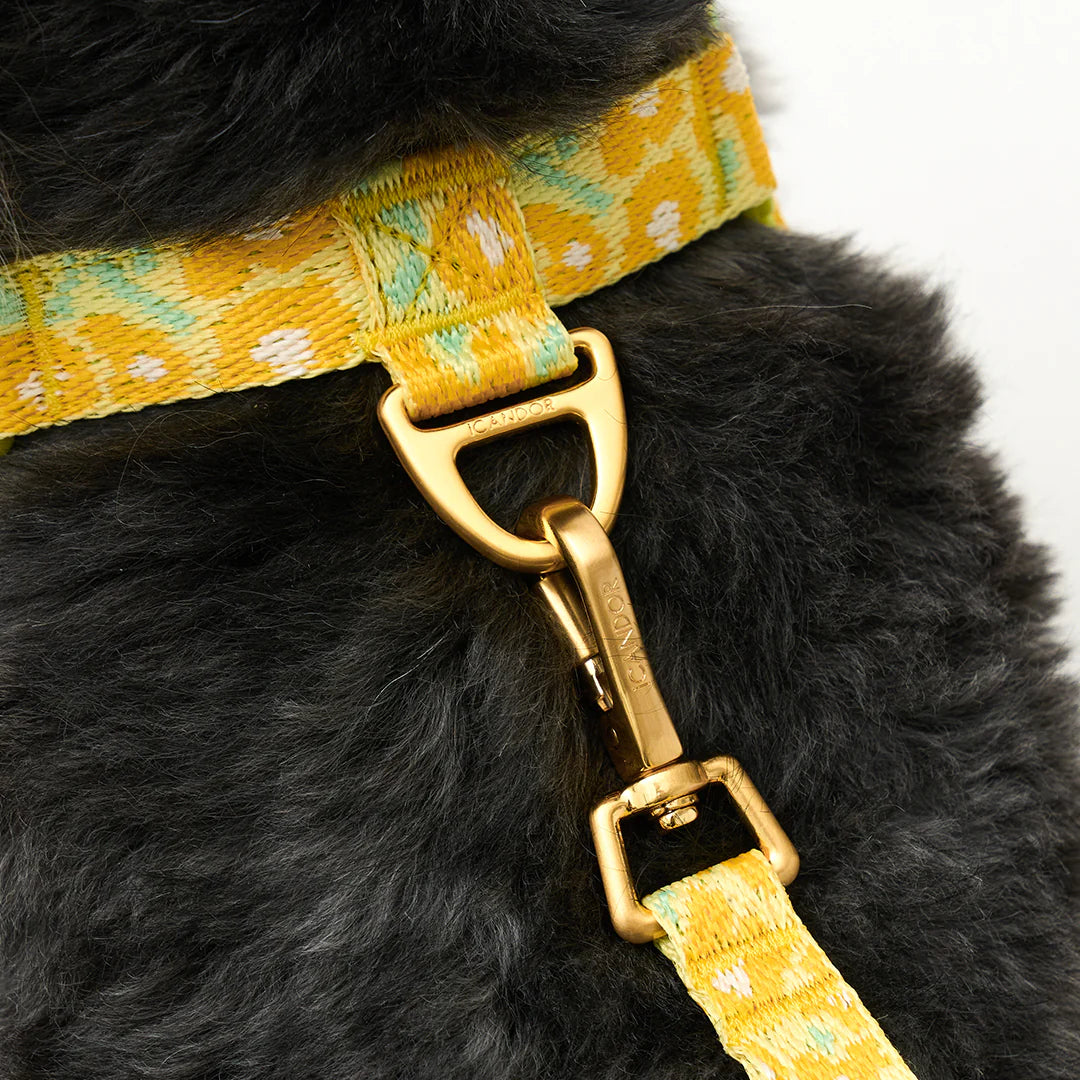 No-Pull Harness | Big Fish Yellow