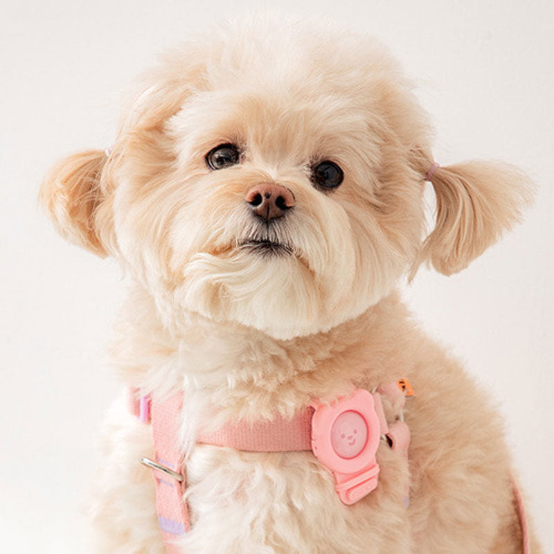 Hate Me Insect Repellent Band (4 Colours)