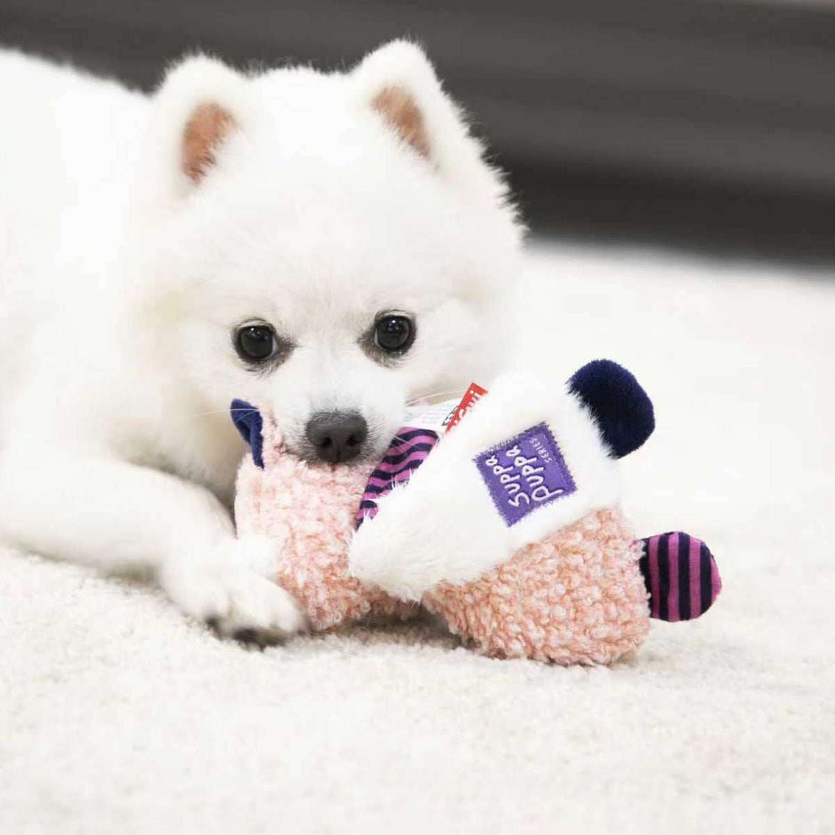 Suppa Puppa Crinkly Plush Dog Toy - Fox
