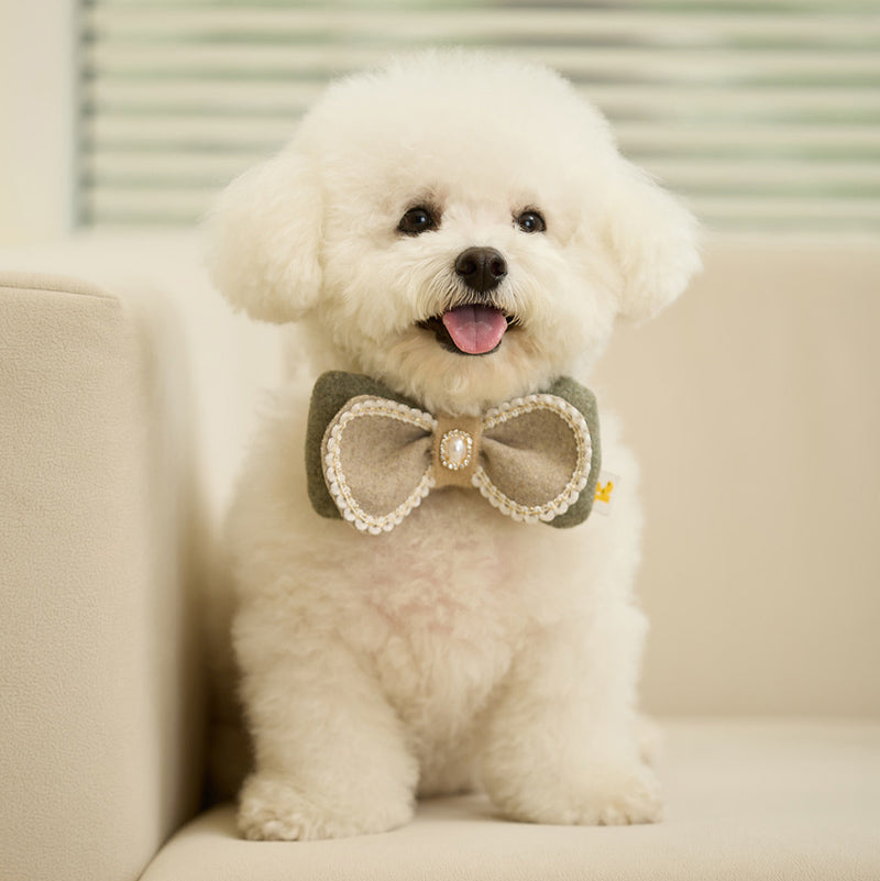 Winter Night Pet Collar Clip (Bow)