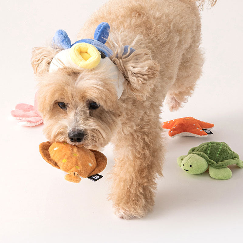 Sea Friends Nosework Toys (Set of 2)