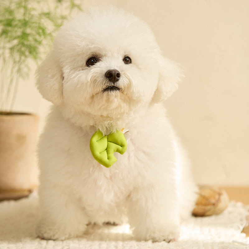 Baby Leaf Pet Collar Clip