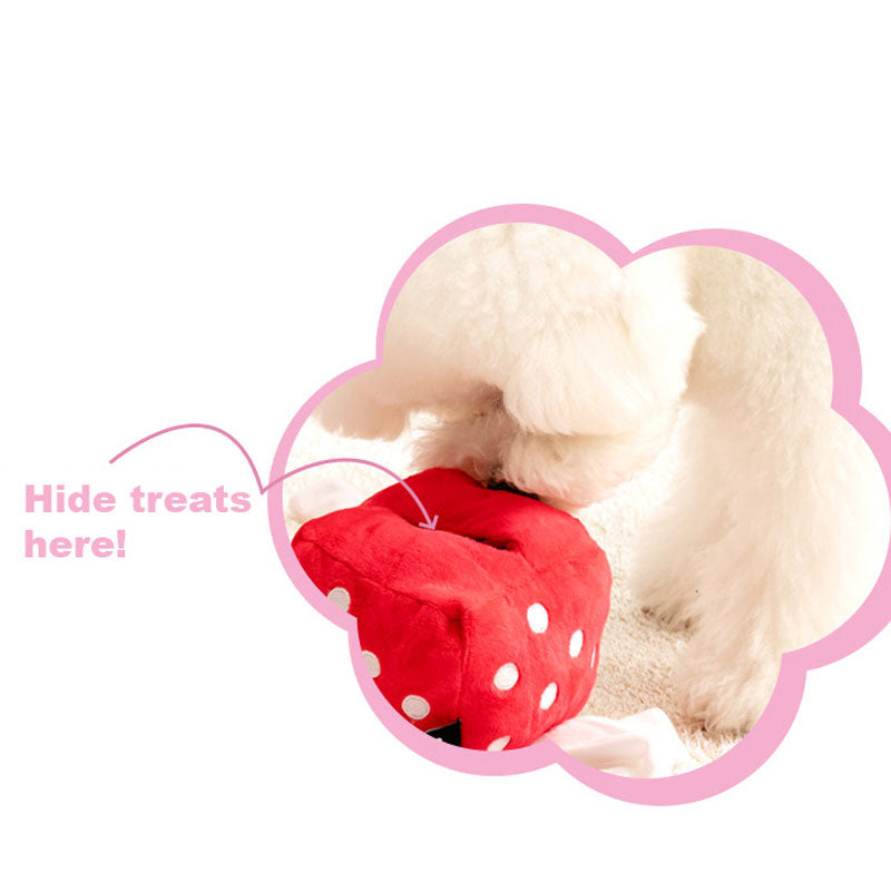 Gift Box Nosework Toy