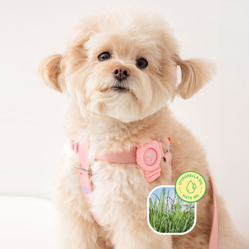 Hate Me Insect Repellent Band (4 Colours)