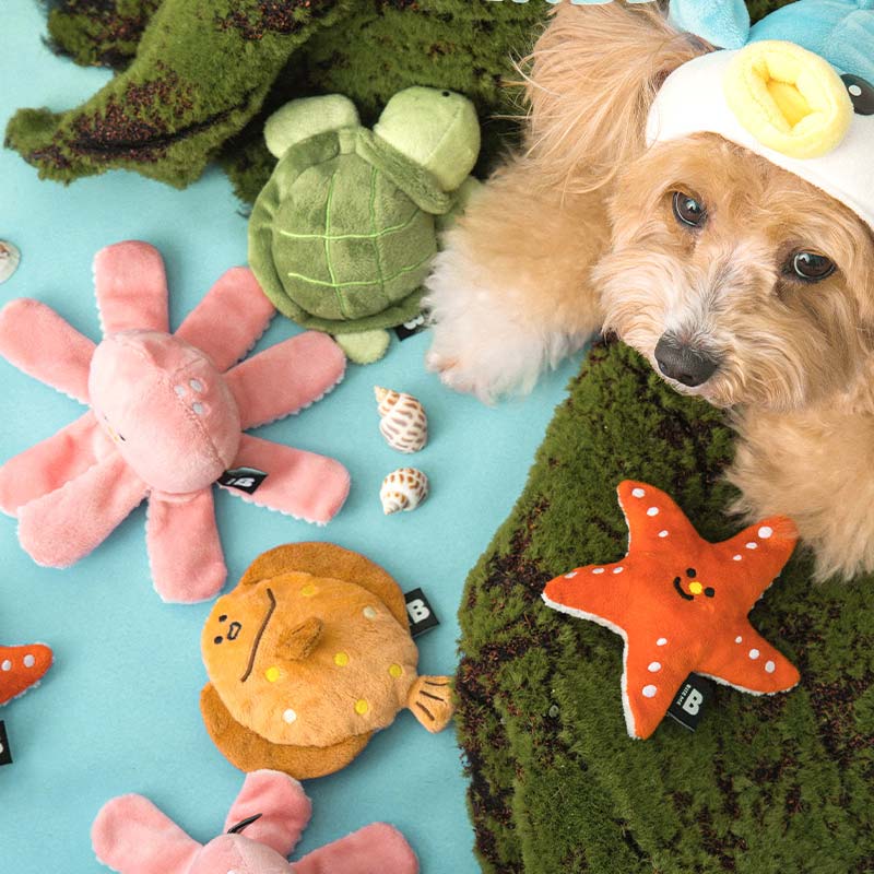 Sea Friends Nosework Toys (Set of 2)