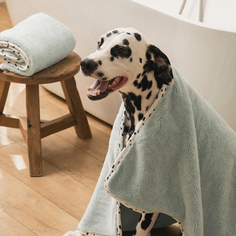 Bite Me x FINCA Dry Me Microfibre Pet Towel in Blue (2 Sizes)