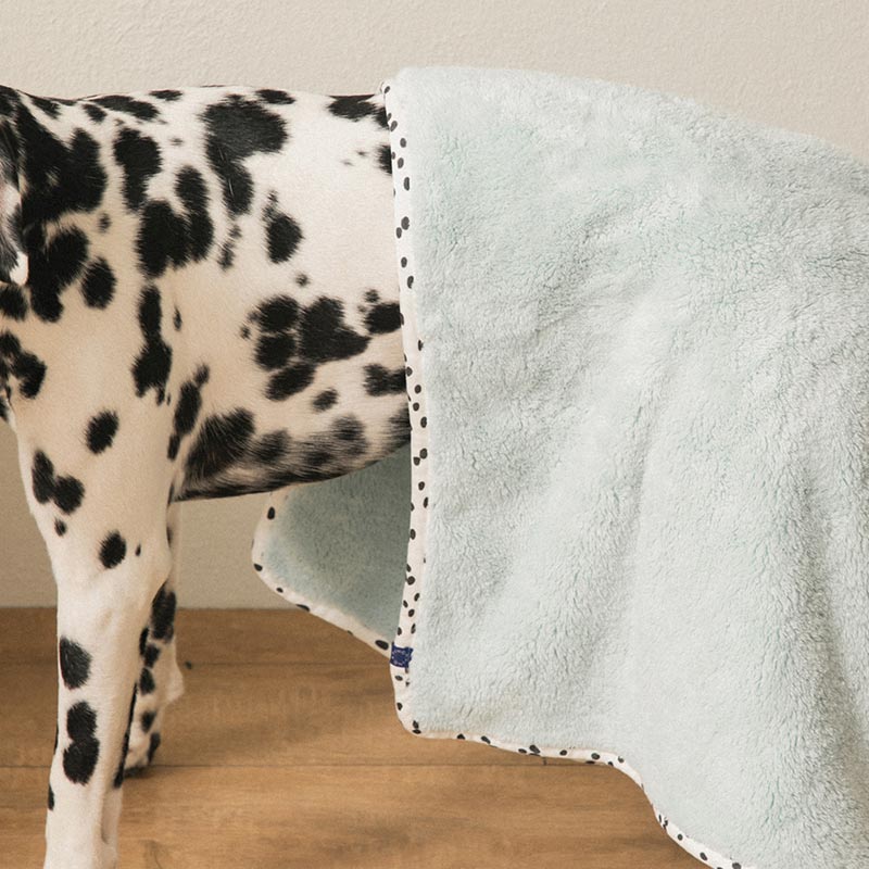 Bite Me x FINCA Dry Me Microfibre Pet Towel in Blue (2 Sizes)